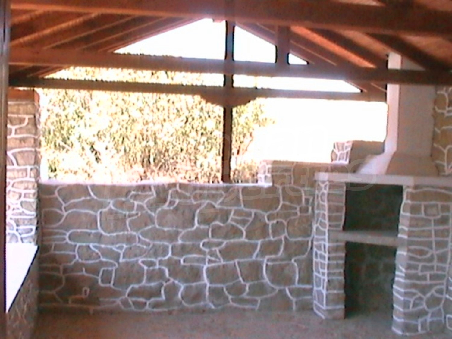 Gallery Picture 7