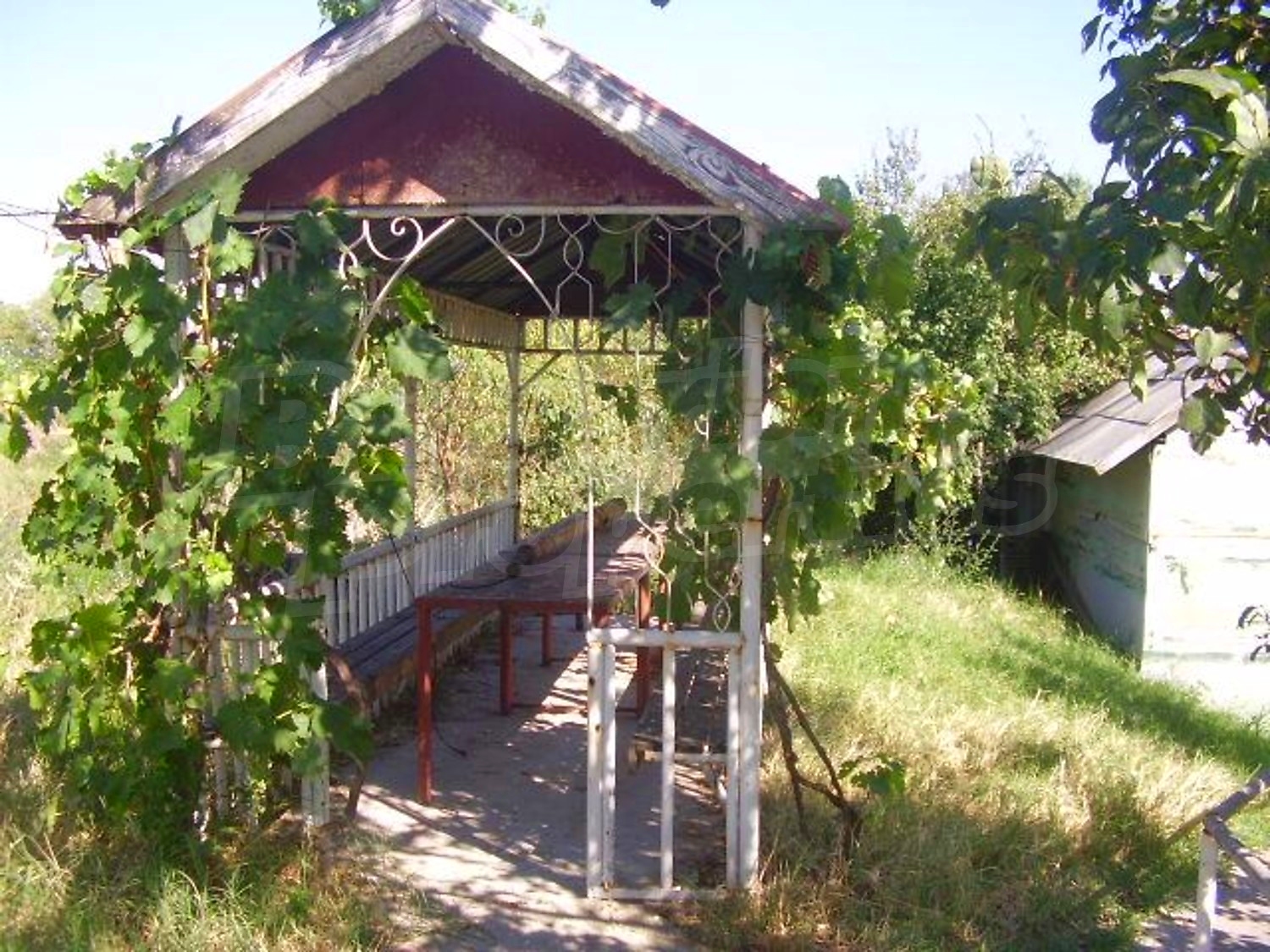 Gallery Picture 20