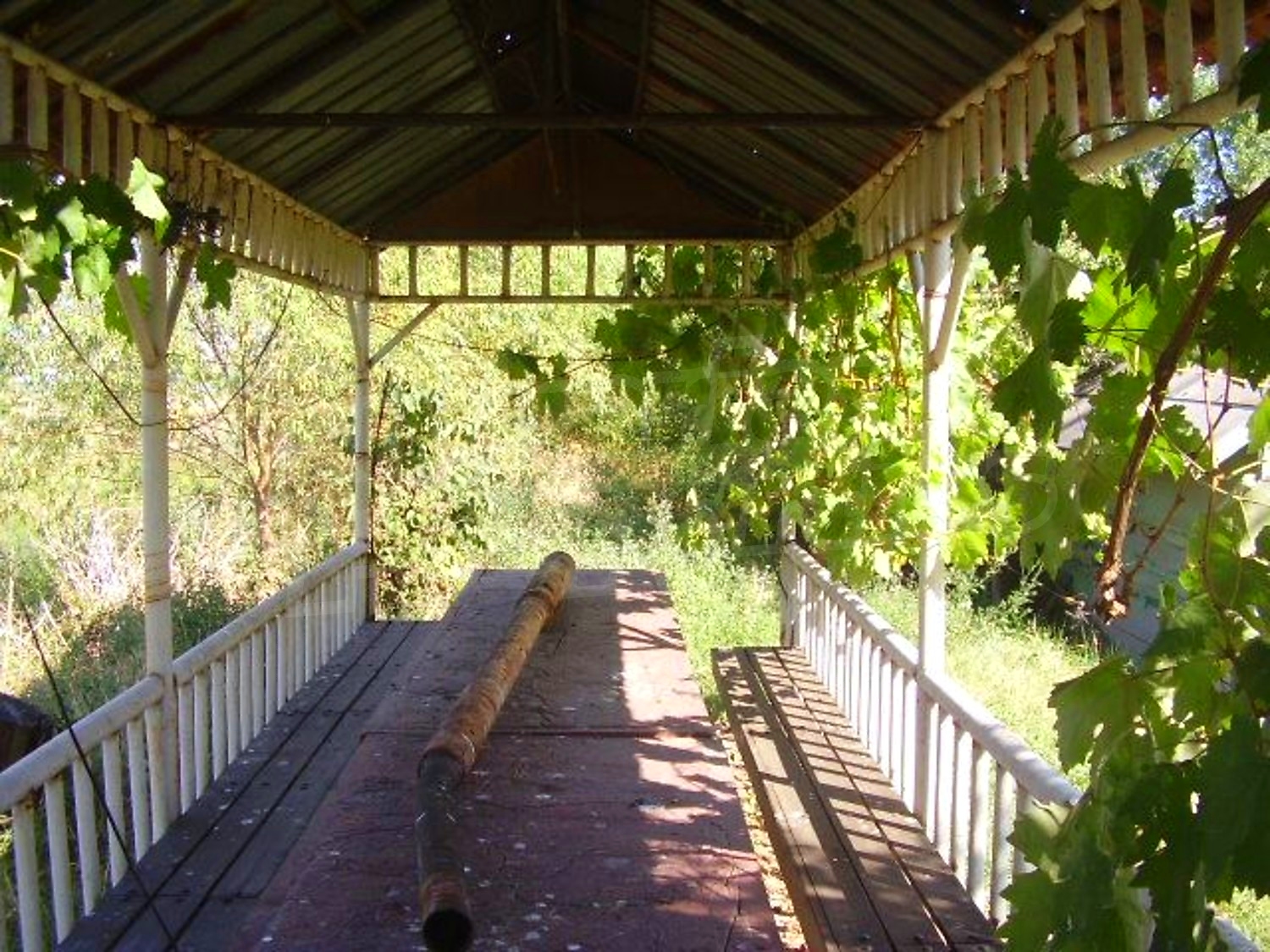 Gallery Picture 21
