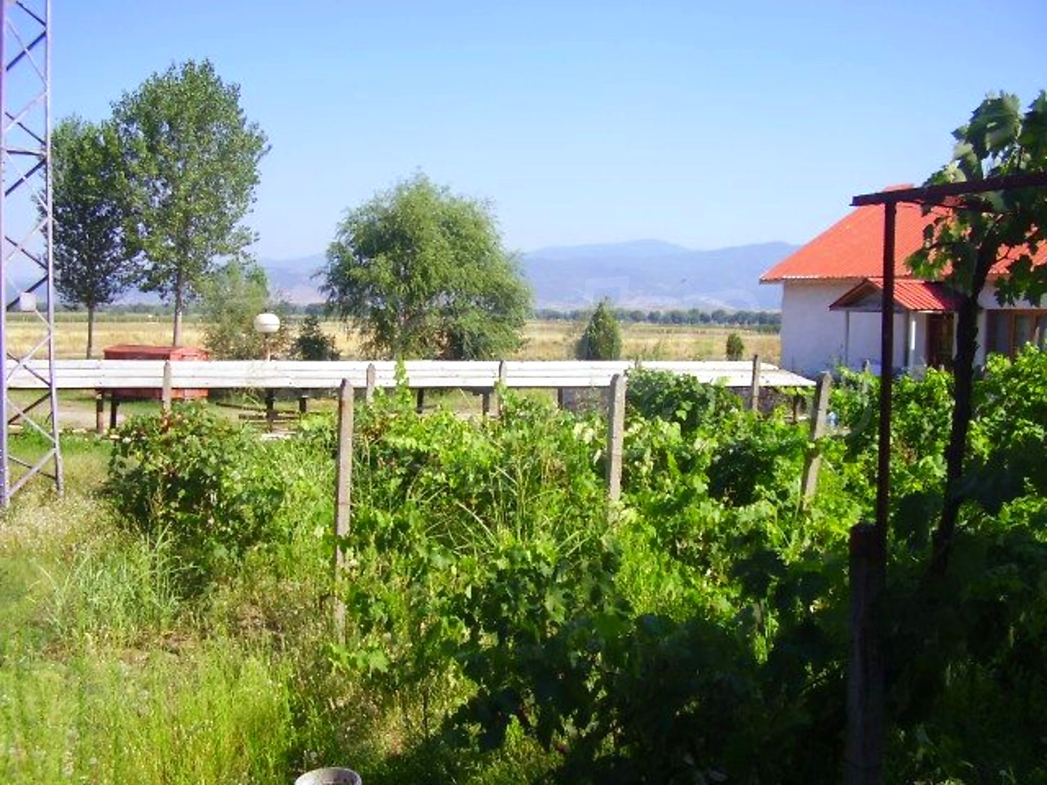 Gallery Picture 24