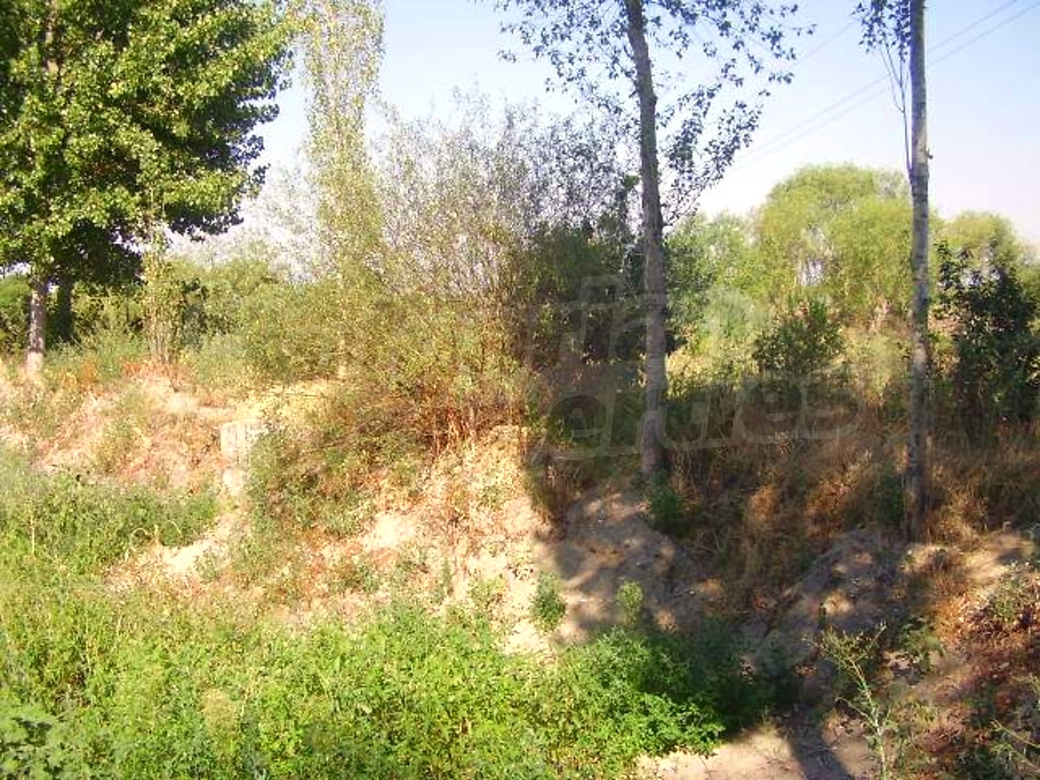 Gallery Picture 25