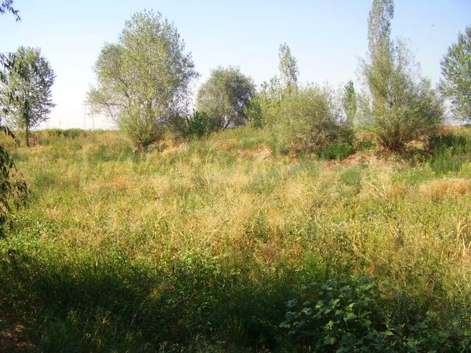 Gallery Picture 26