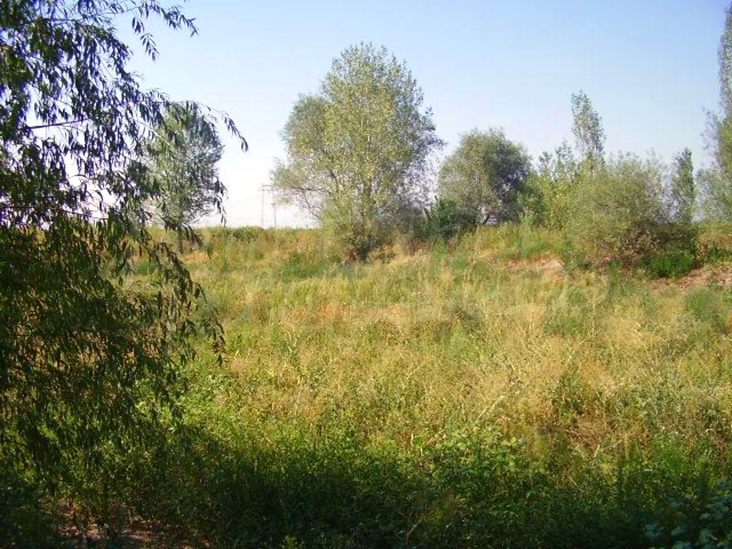 Gallery Picture 27
