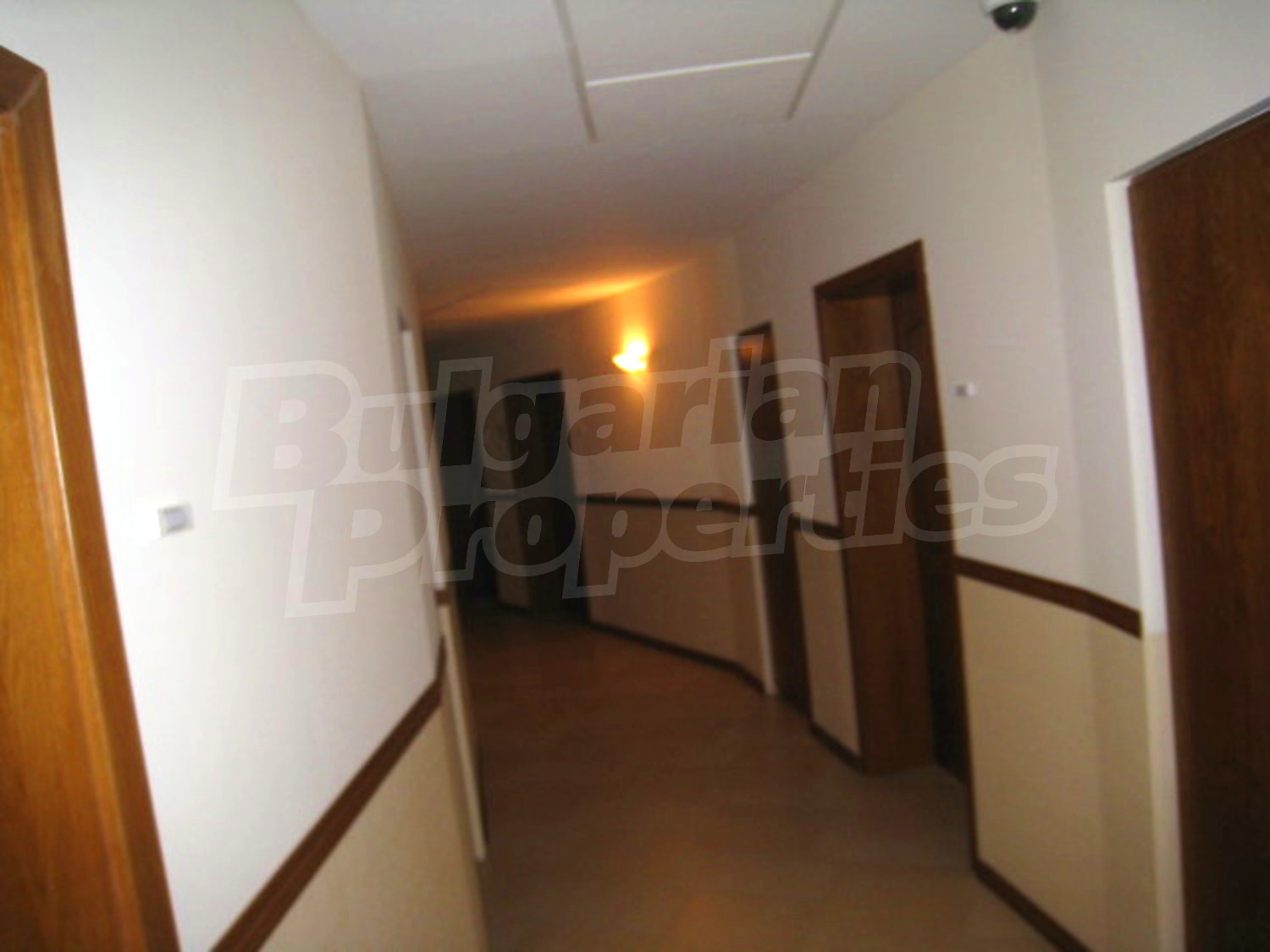 Gallery Picture 11