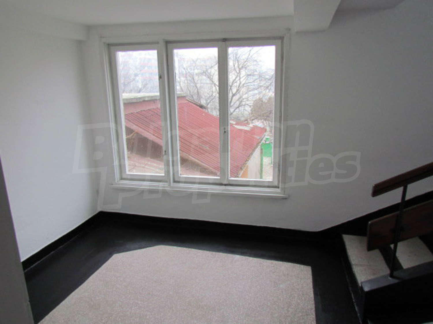 Gallery Picture 26