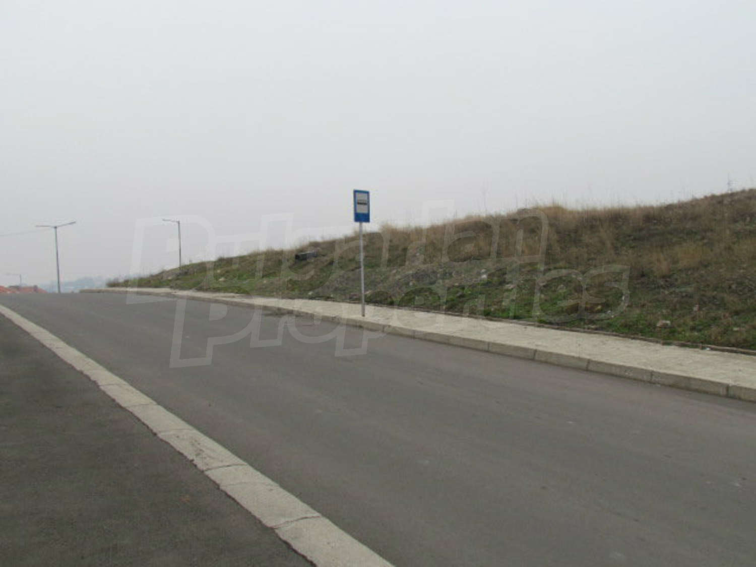 Gallery Picture 43