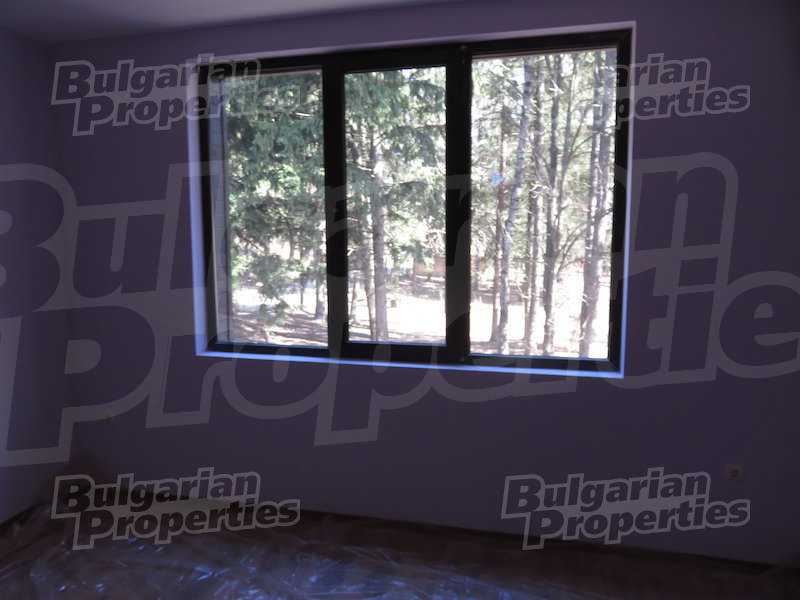 Gallery Picture 10