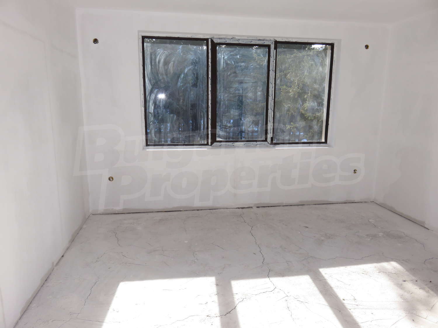 Gallery Picture 15