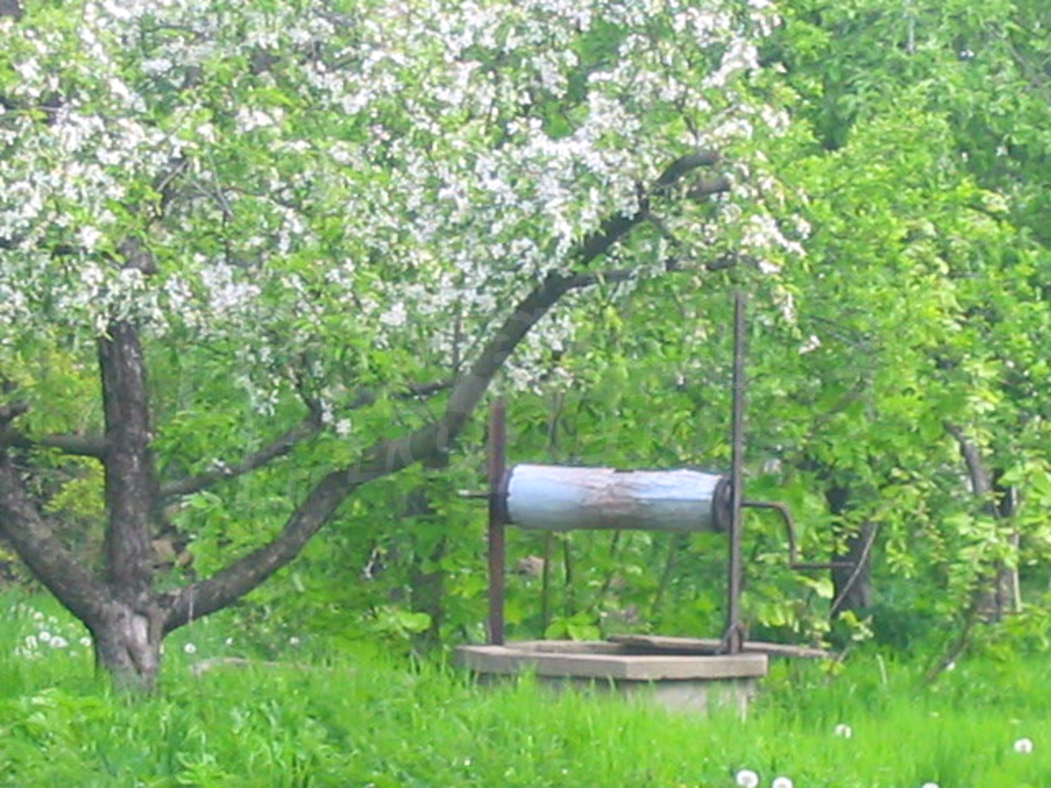 Gallery Picture 16