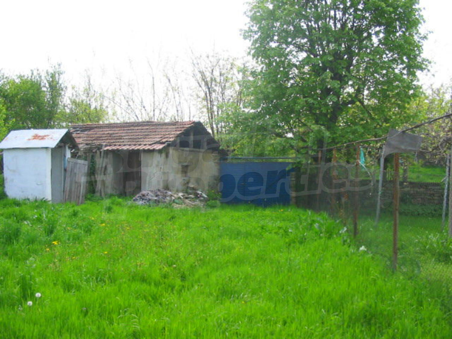 Gallery Picture 17