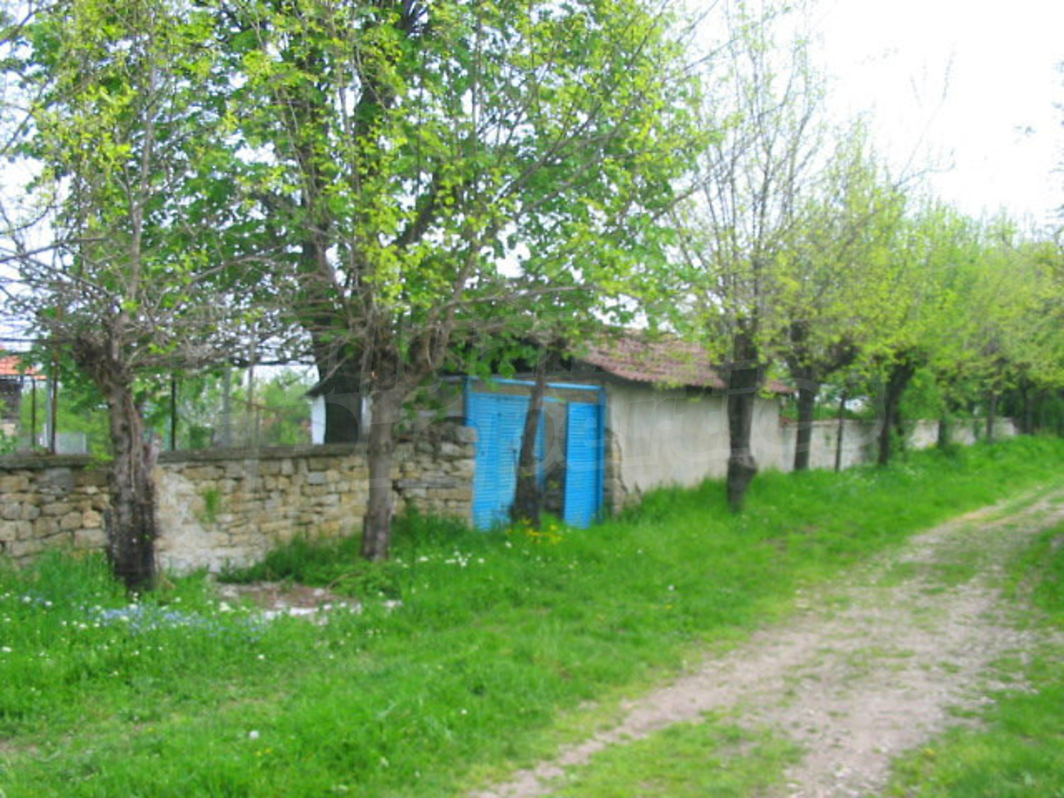 Gallery Picture 18