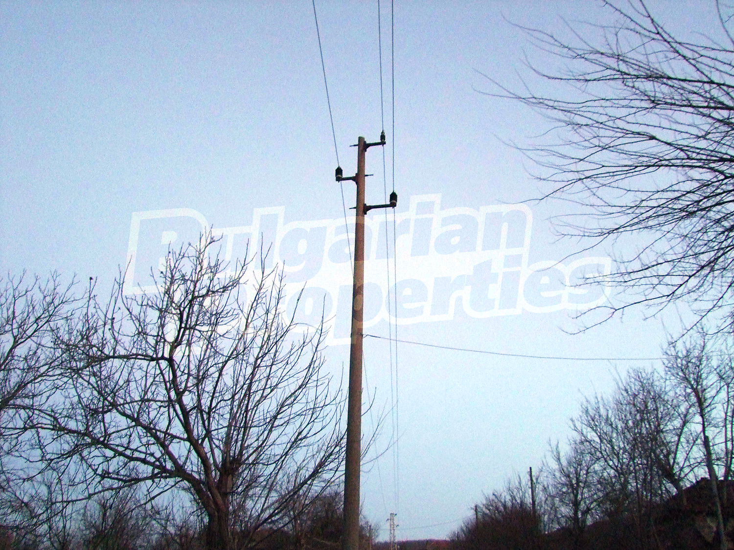 Gallery Picture 19