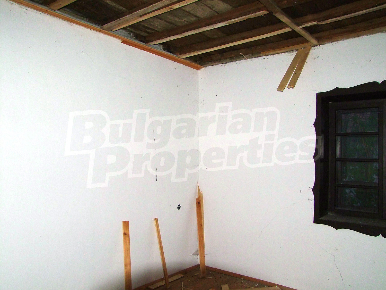 Gallery Picture 25