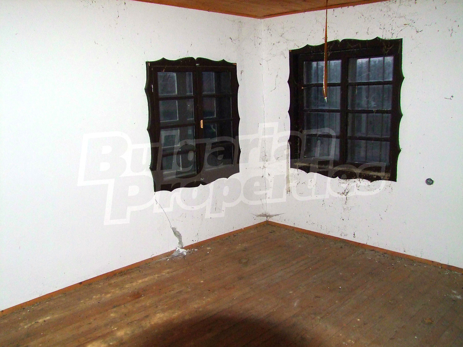 Gallery Picture 30