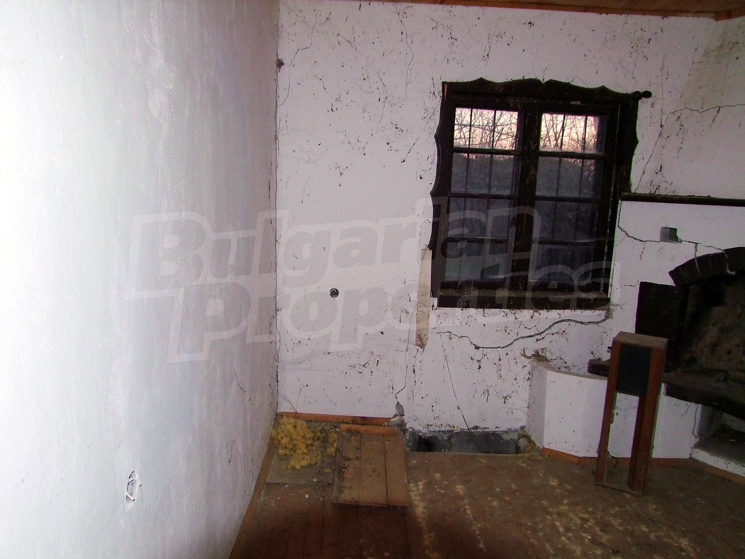 Gallery Picture 31