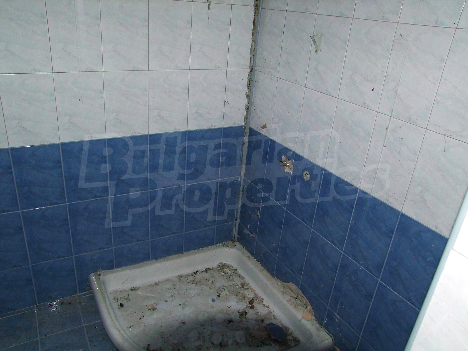 Gallery Picture 33