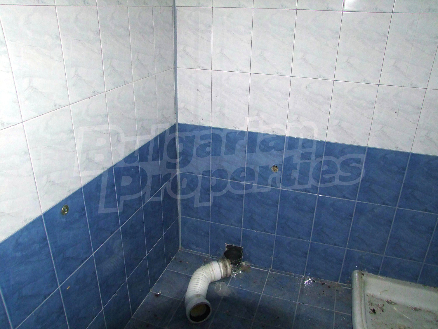 Gallery Picture 34