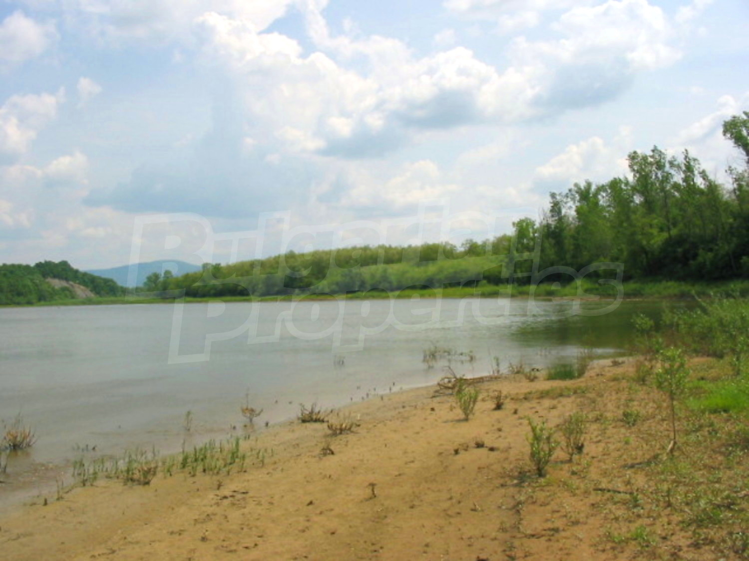 Gallery Picture 7