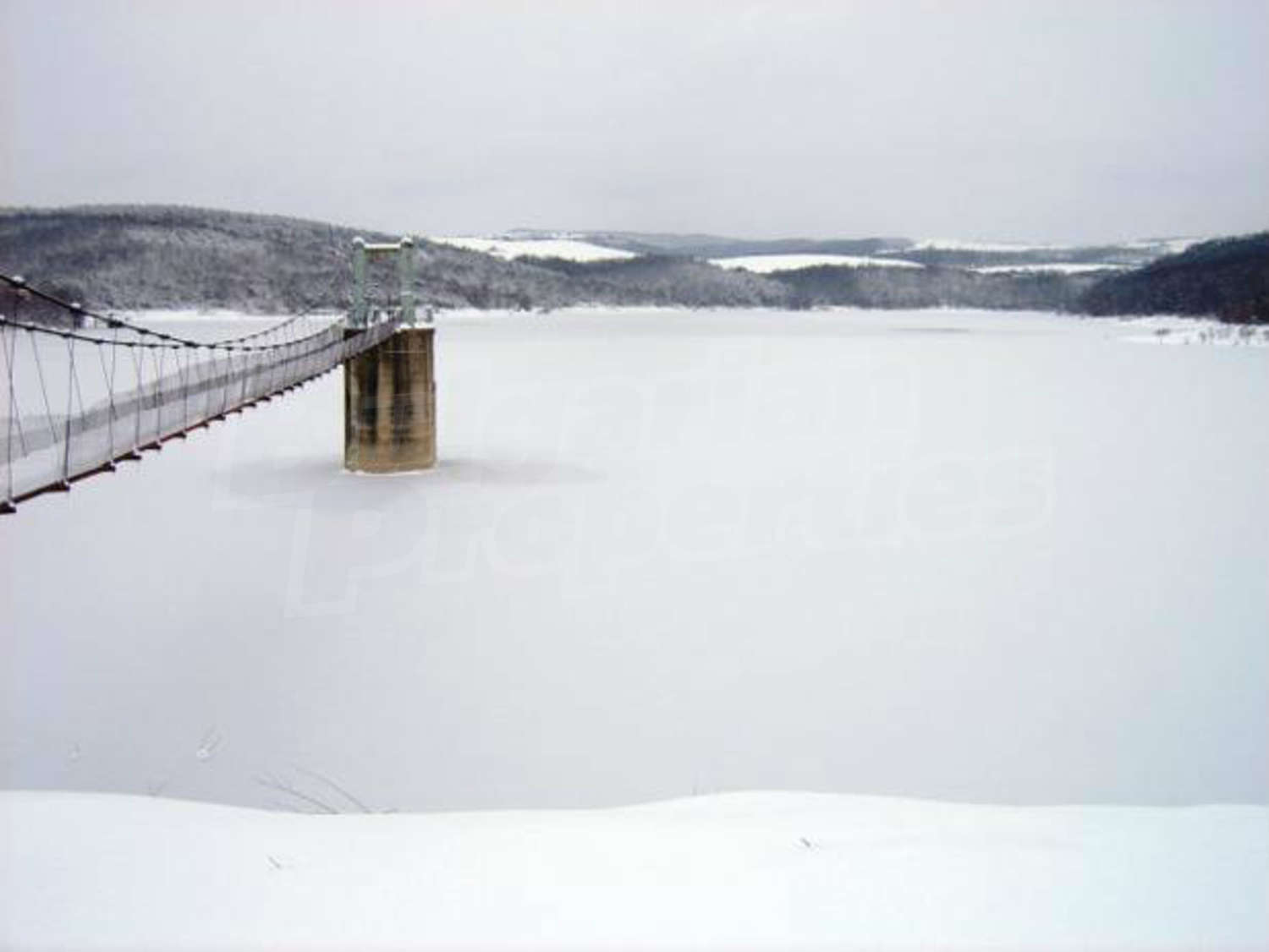 Gallery Picture 18