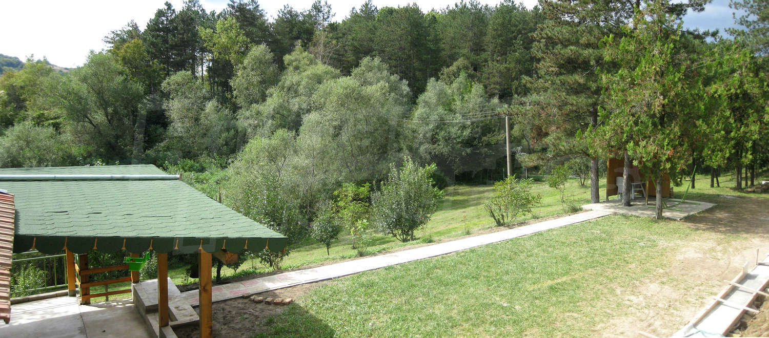 Gallery Picture 38
