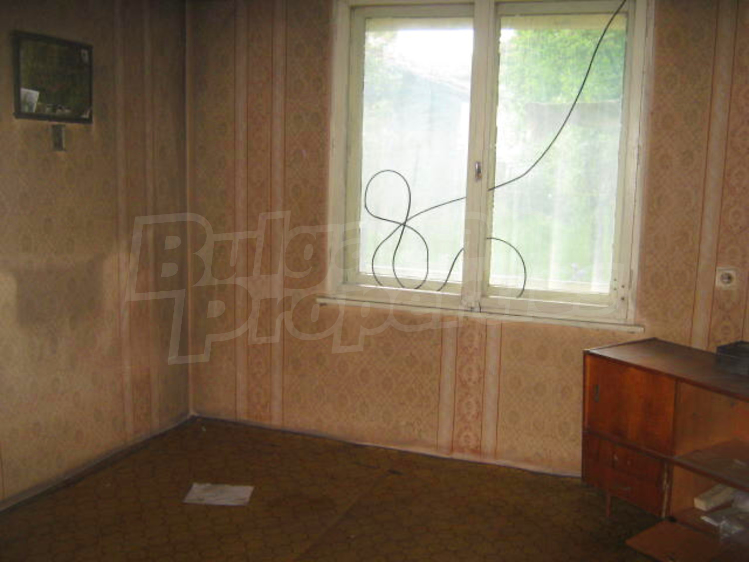Gallery Picture 12