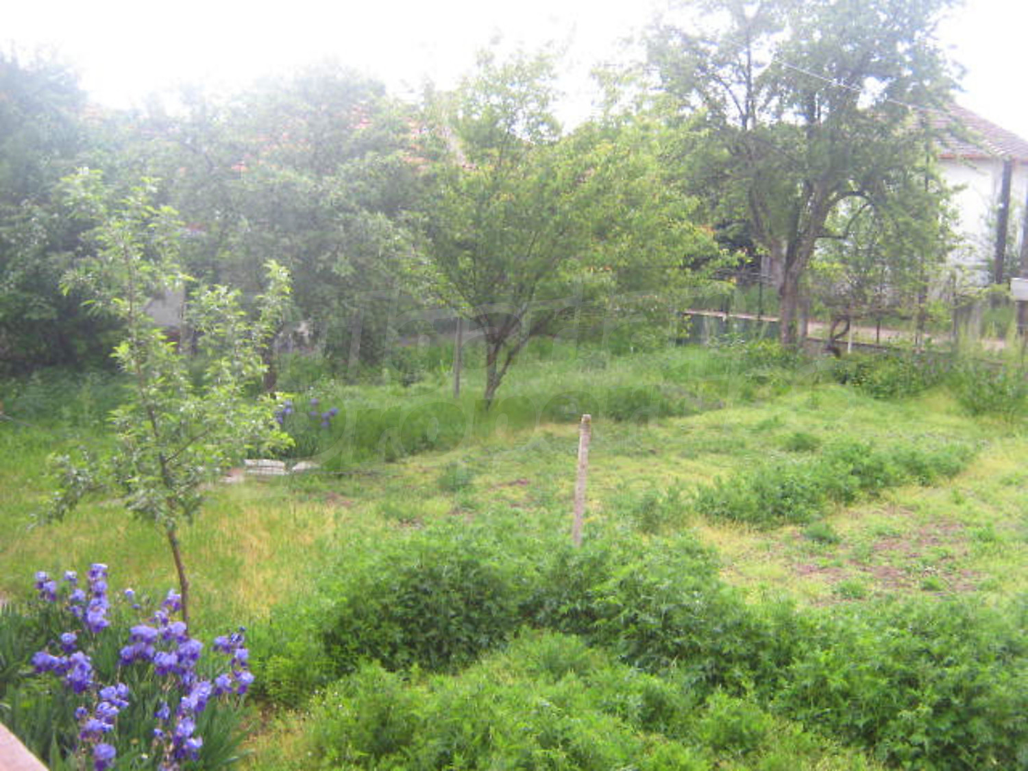 Gallery Picture 16