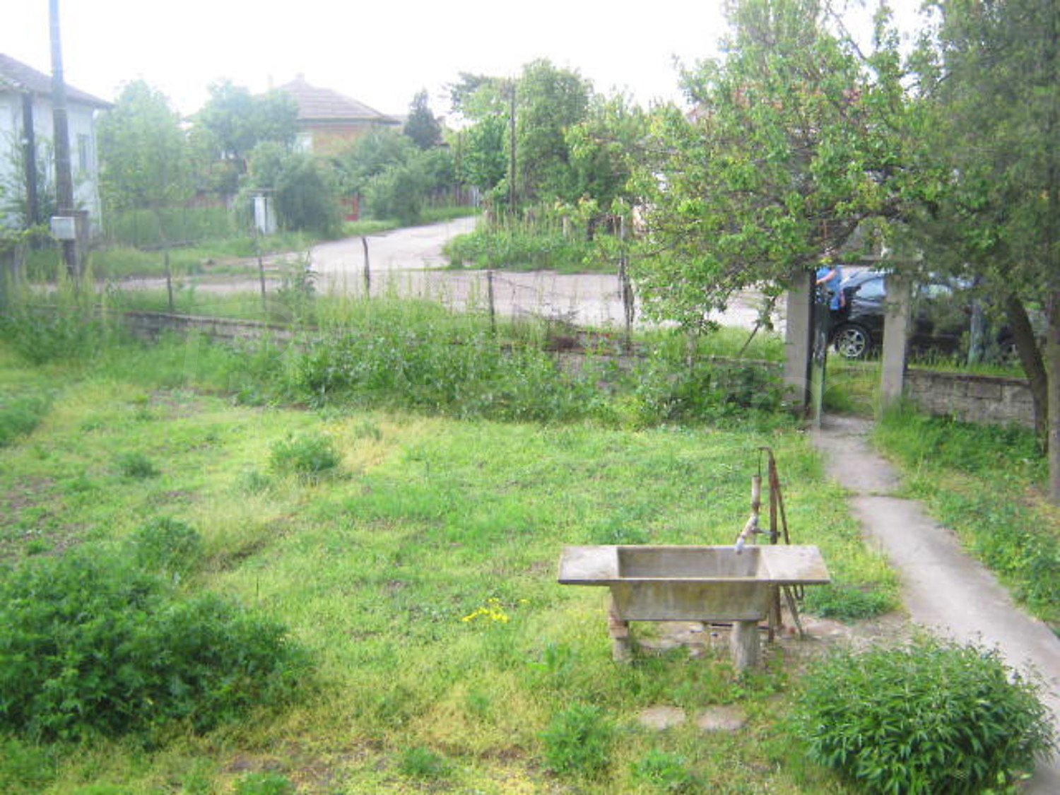 Gallery Picture 17