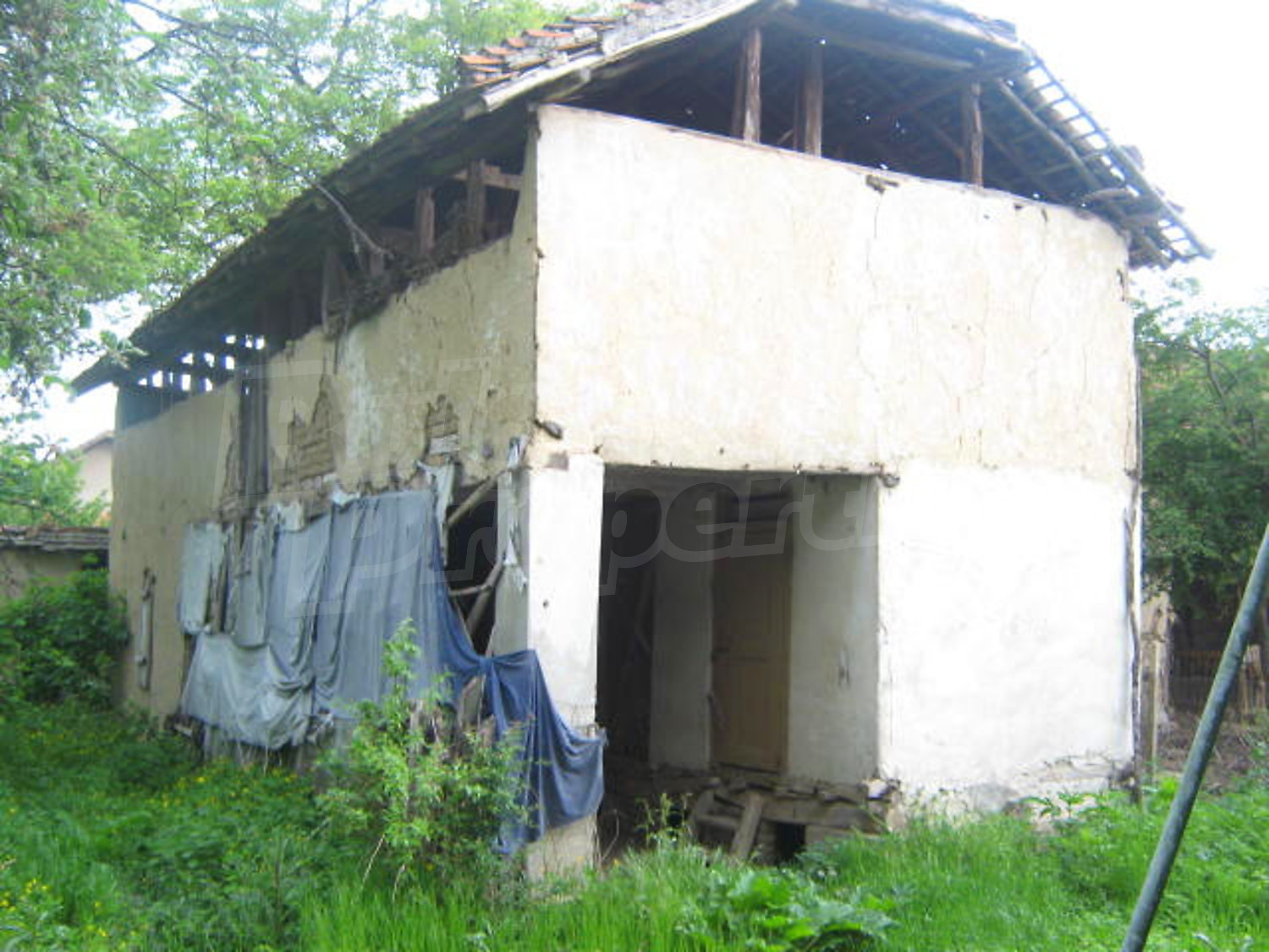 Gallery Picture 18
