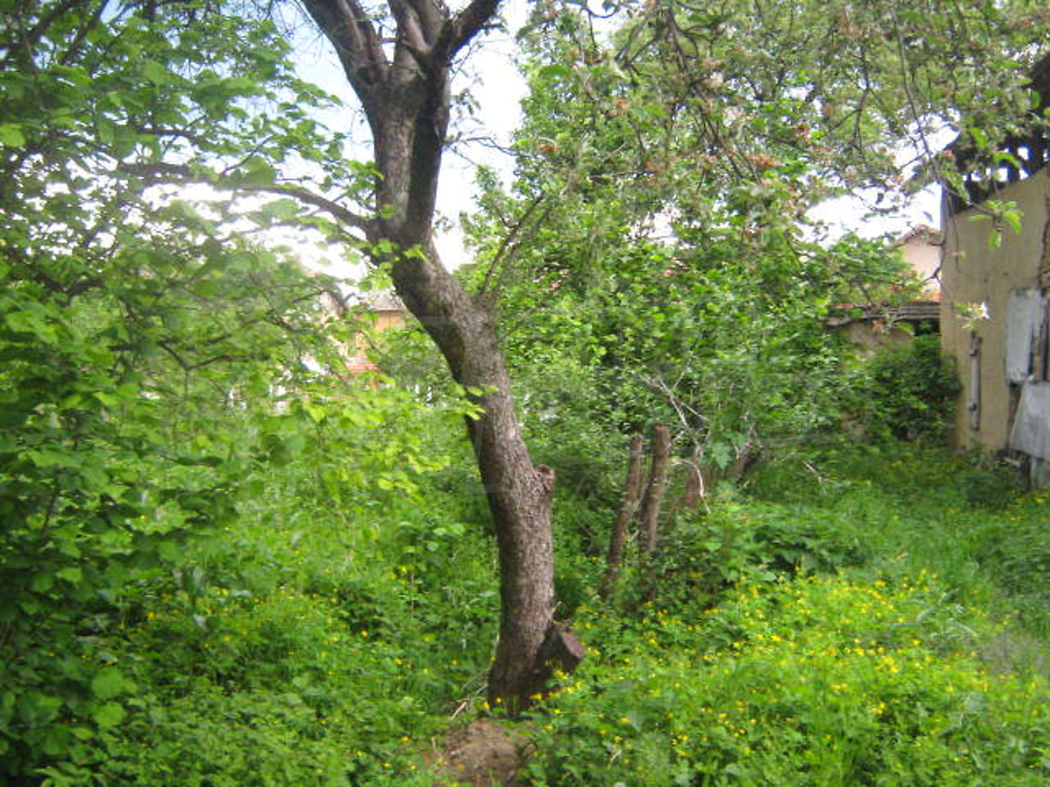 Gallery Picture 19