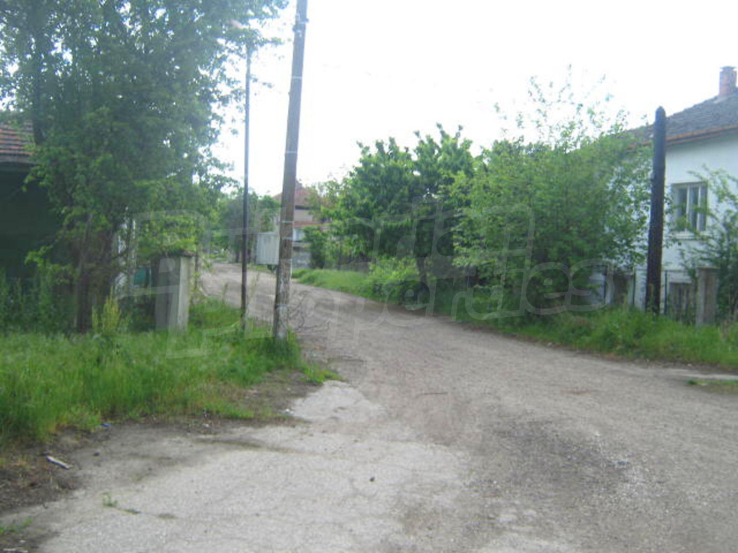 Gallery Picture 21