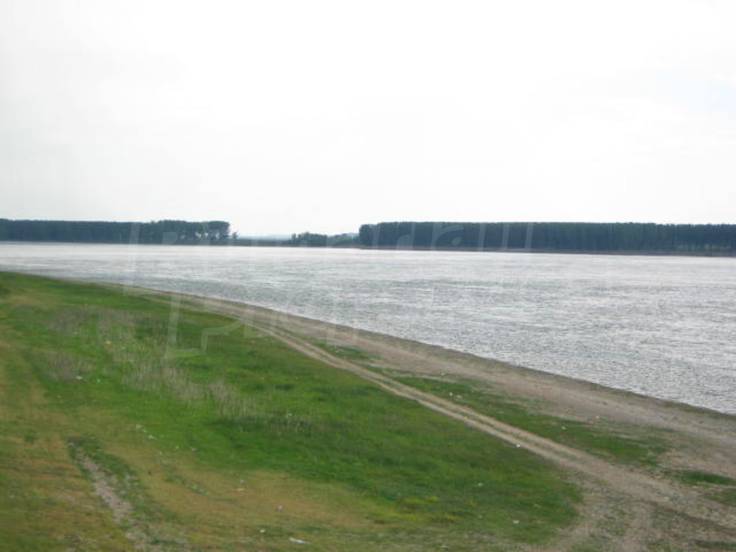 Gallery Picture 25