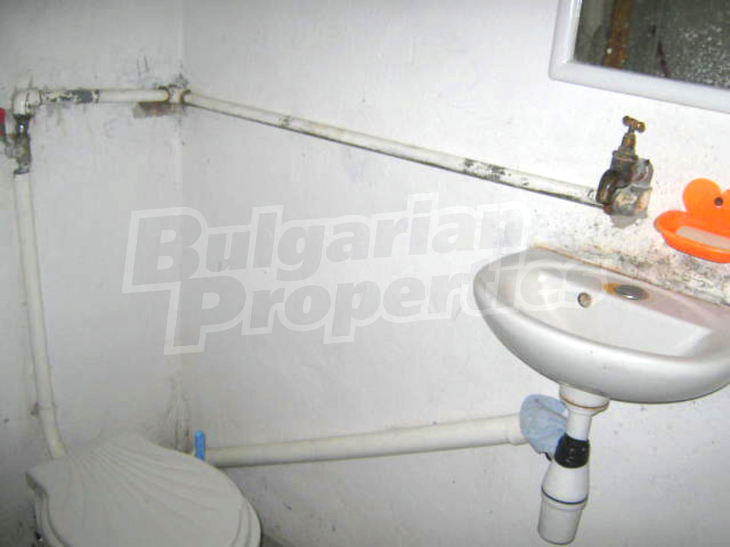 Gallery Picture 8