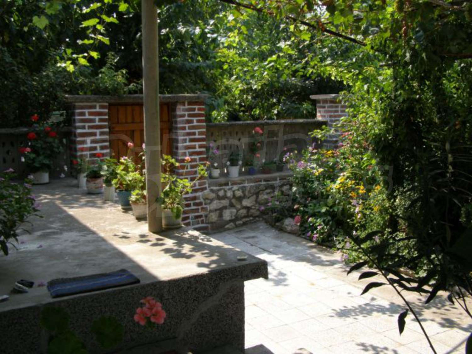 Gallery Picture 23