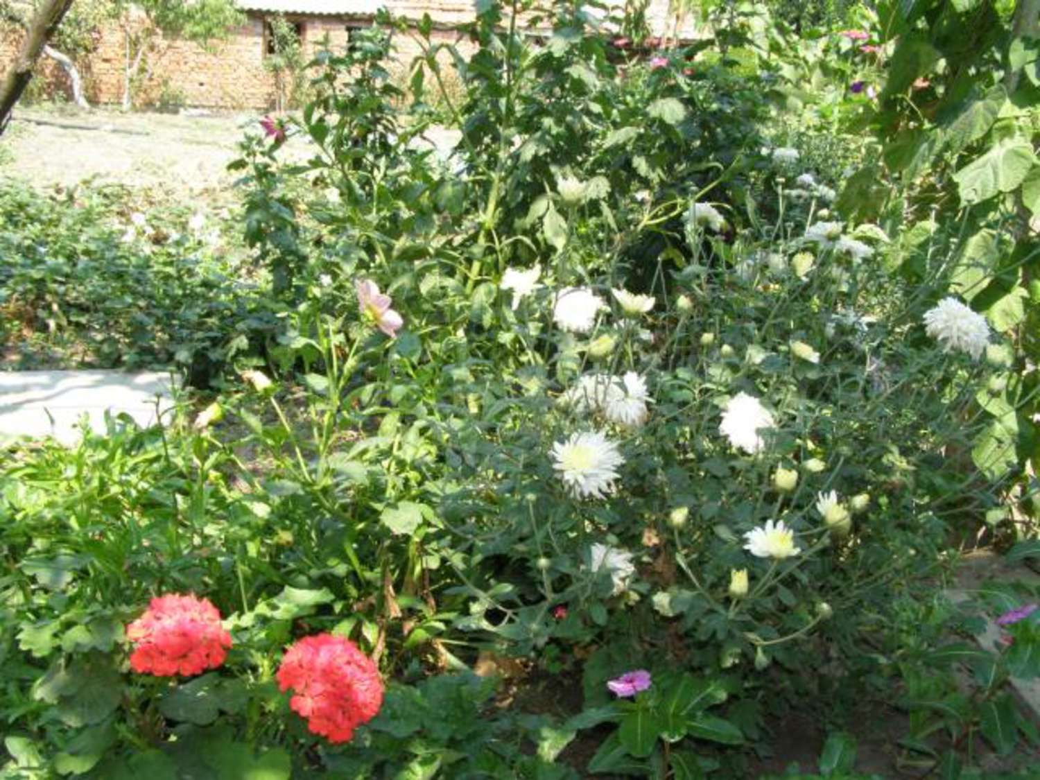 Gallery Picture 27
