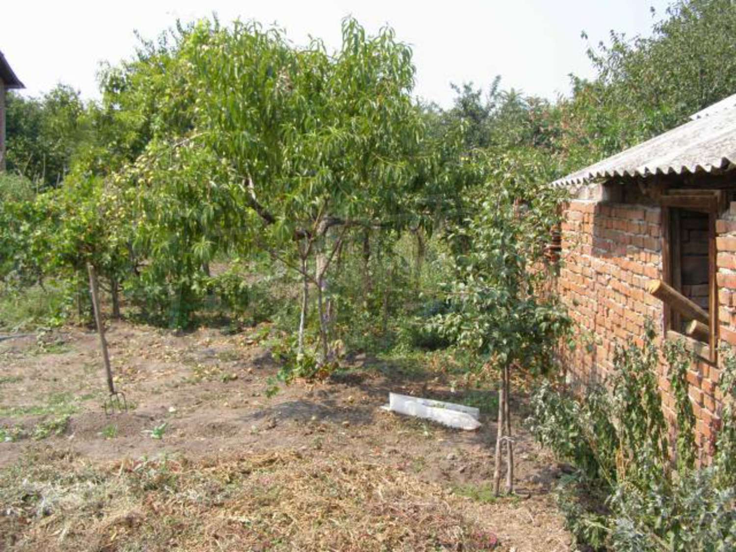 Gallery Picture 34