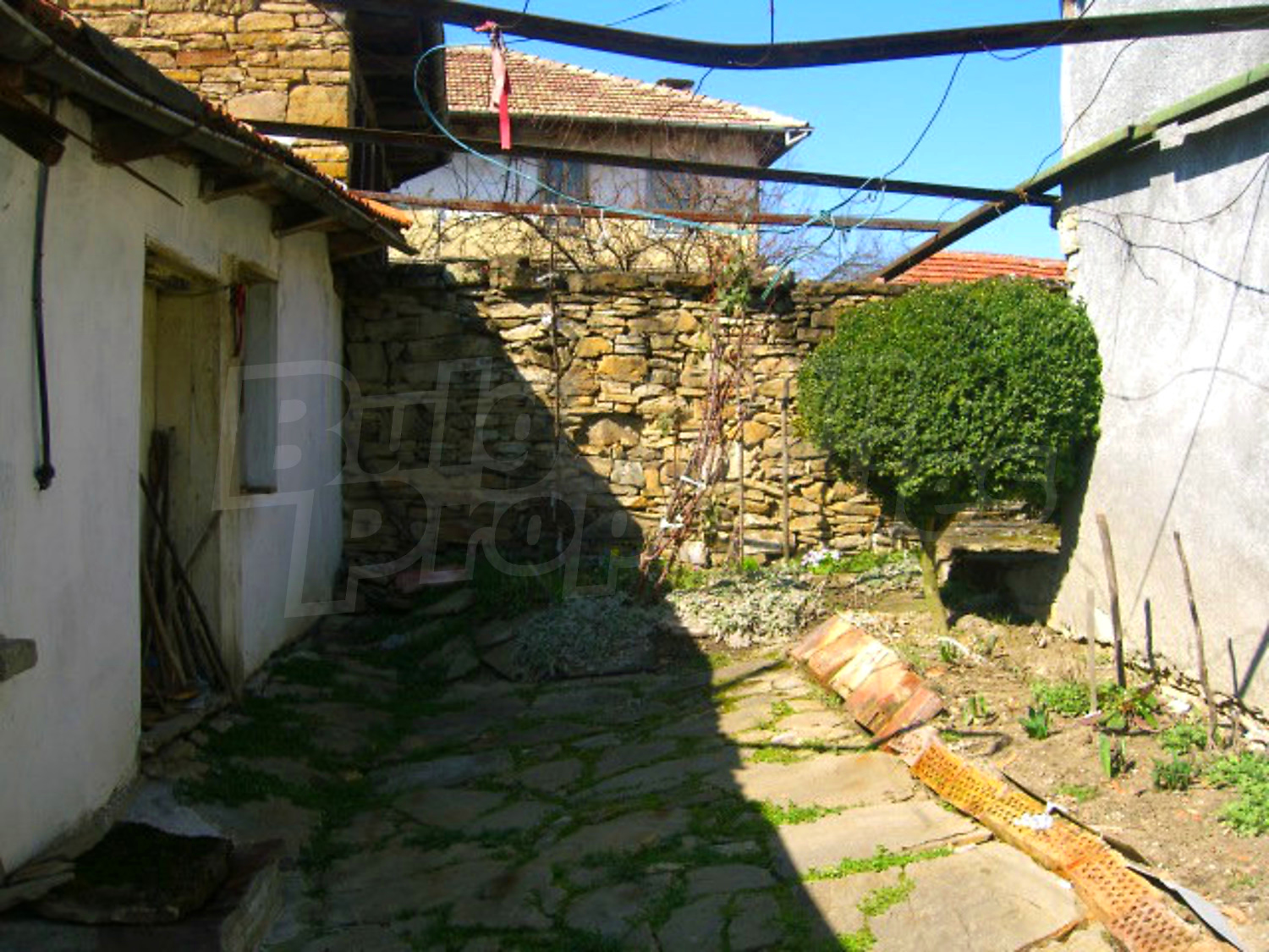 Gallery Picture 10