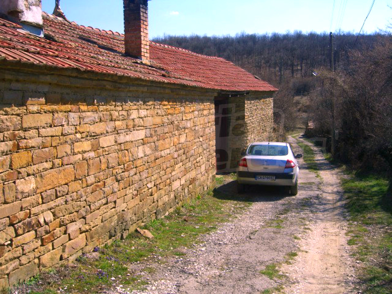 Gallery Picture 17