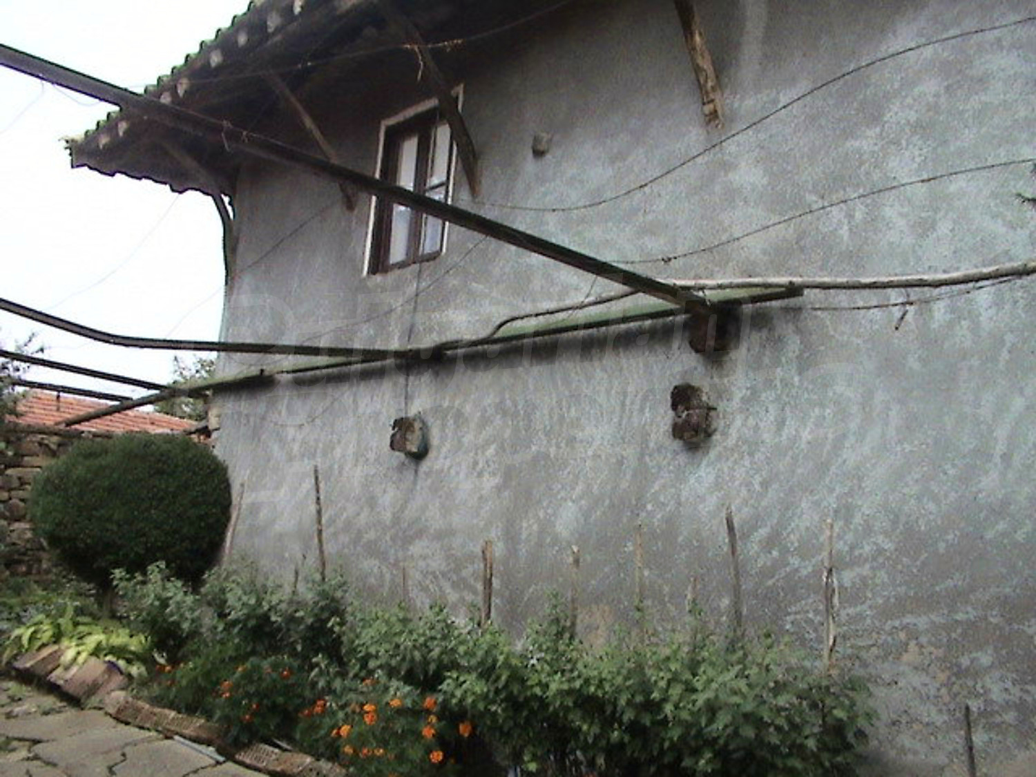 Gallery Picture 2