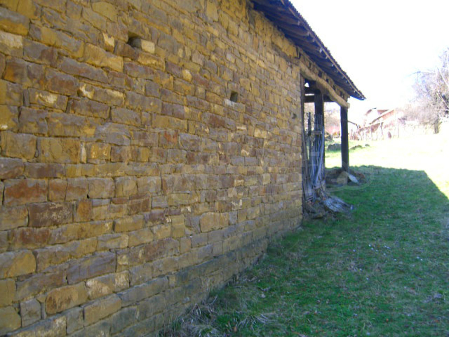 Gallery Picture 21