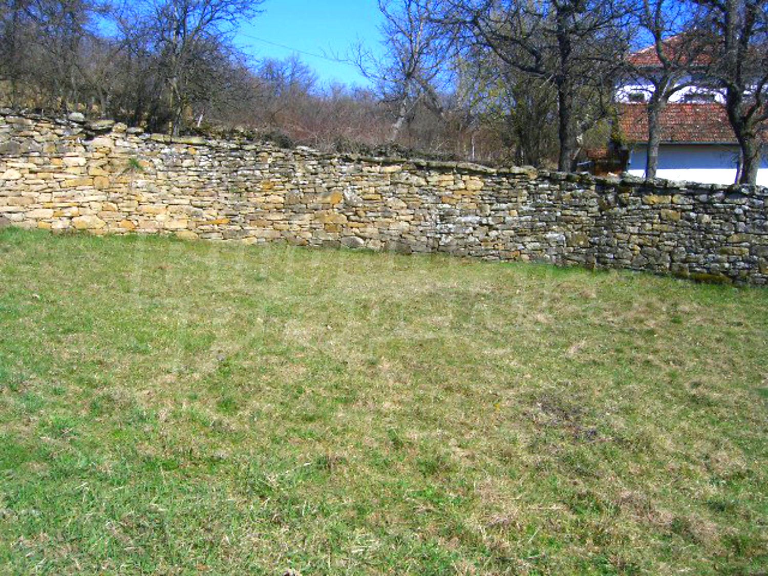 Gallery Picture 23
