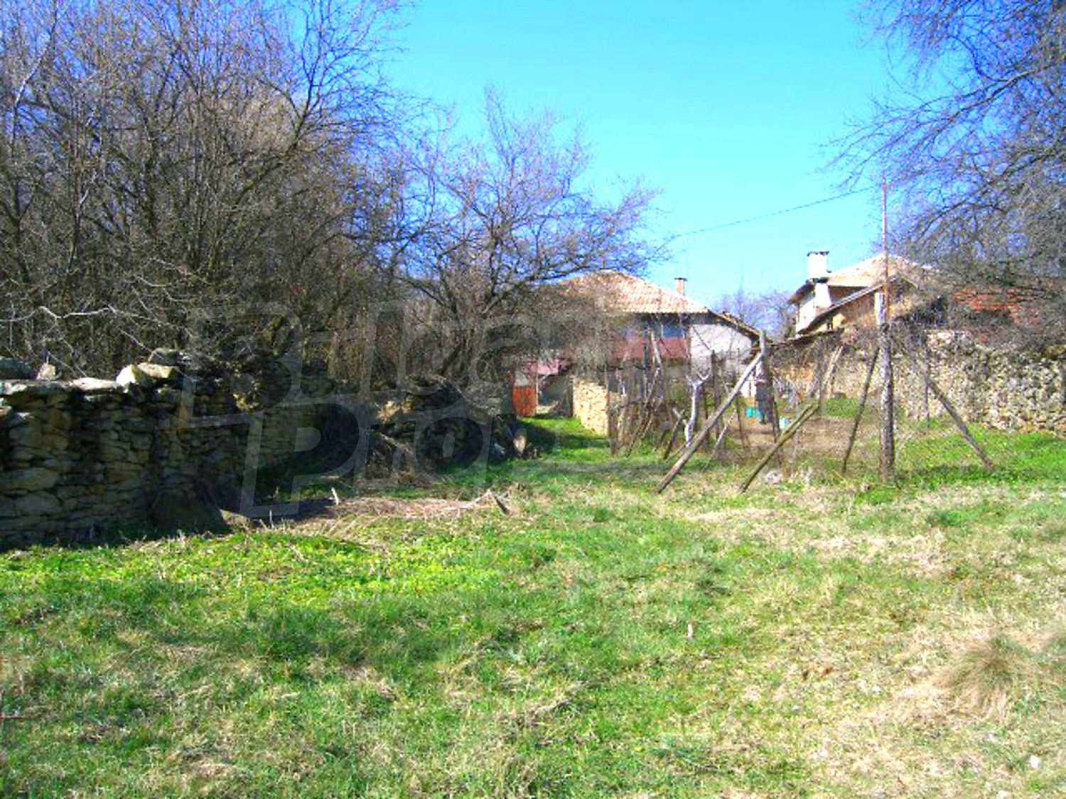 Gallery Picture 25
