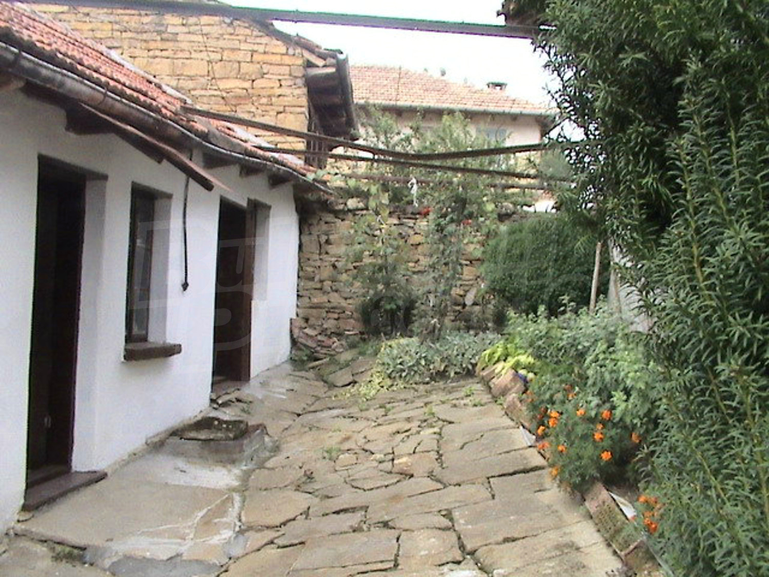 Gallery Picture 5