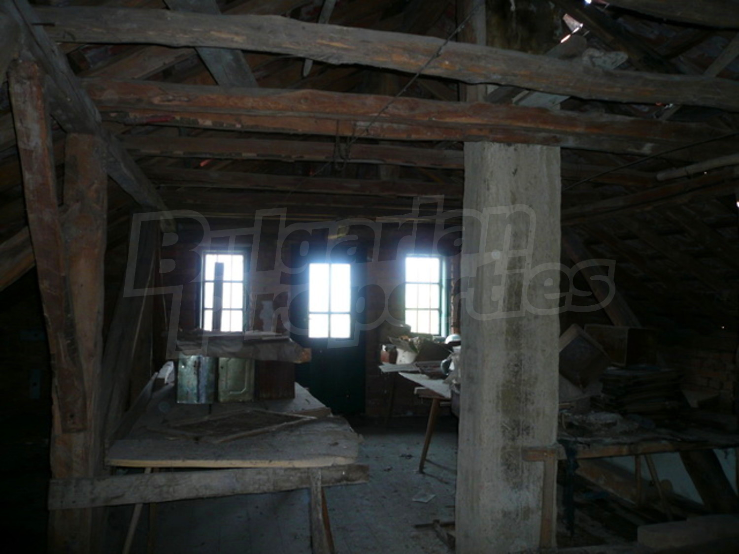 Gallery Picture 12