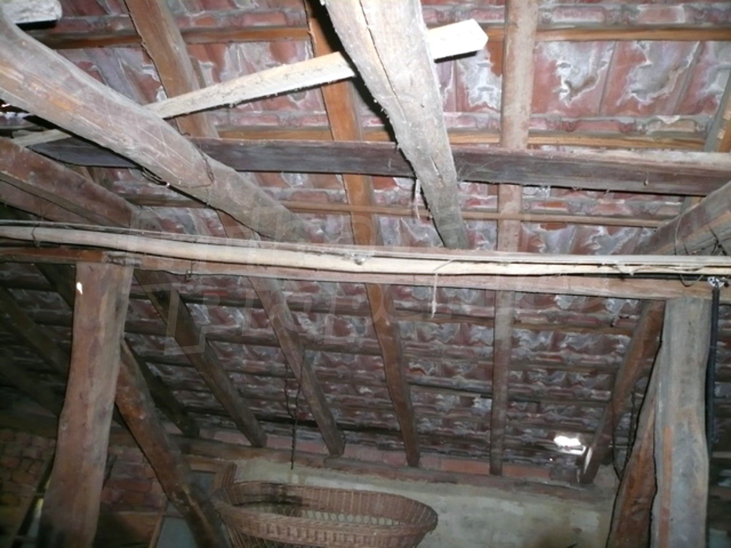 Gallery Picture 13