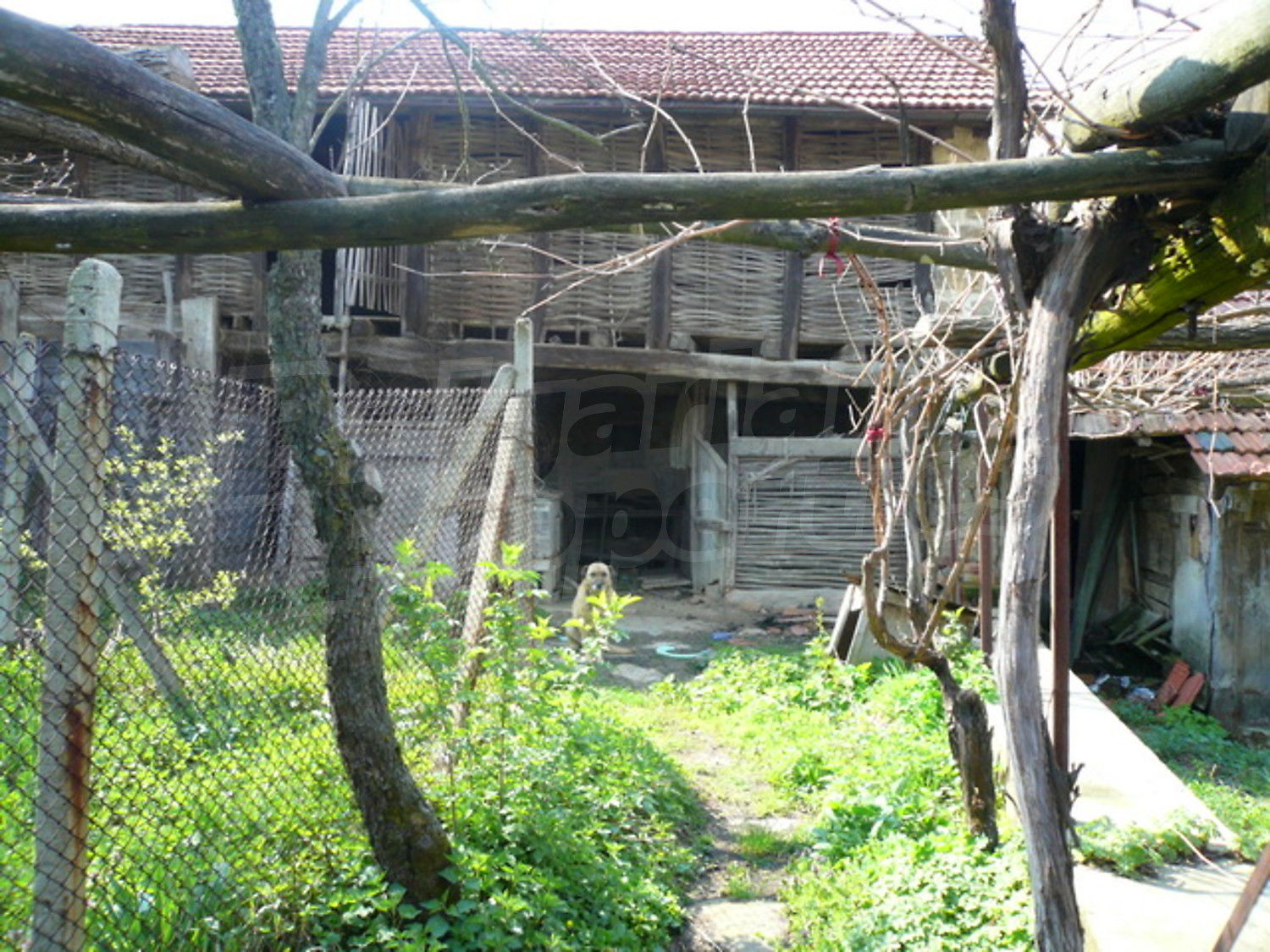 Gallery Picture 15