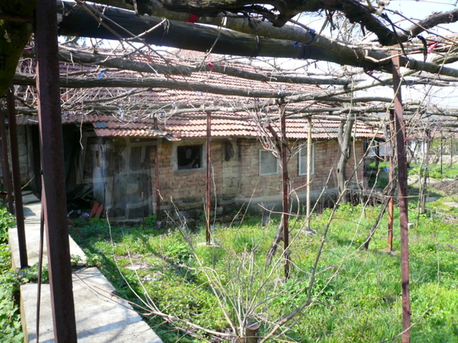 Gallery Picture 16