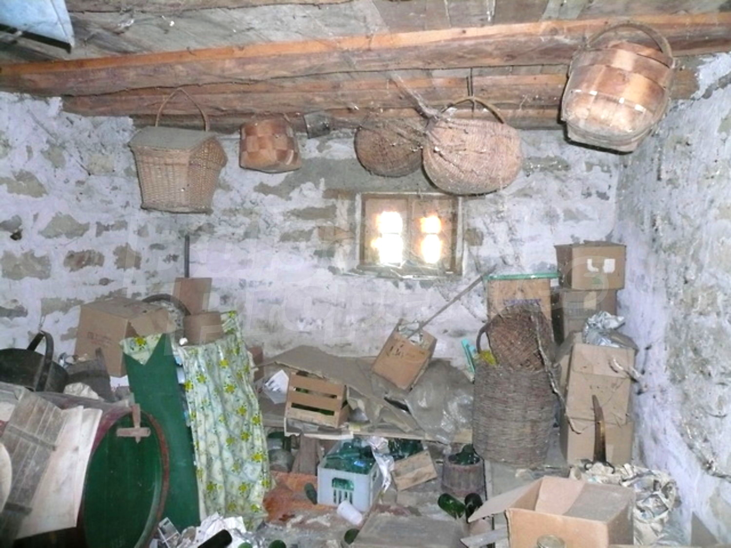 Gallery Picture 7
