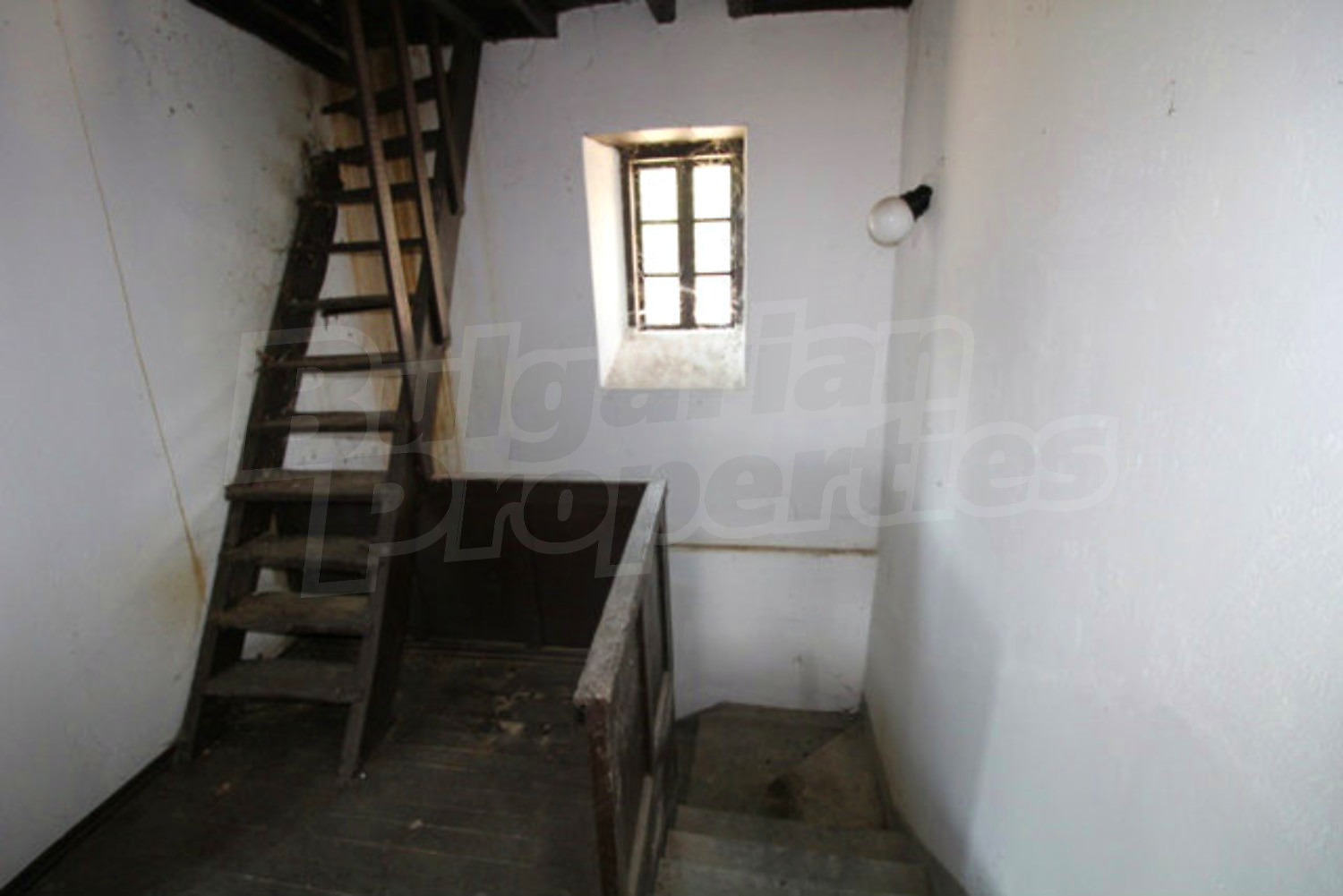 Gallery Picture 11