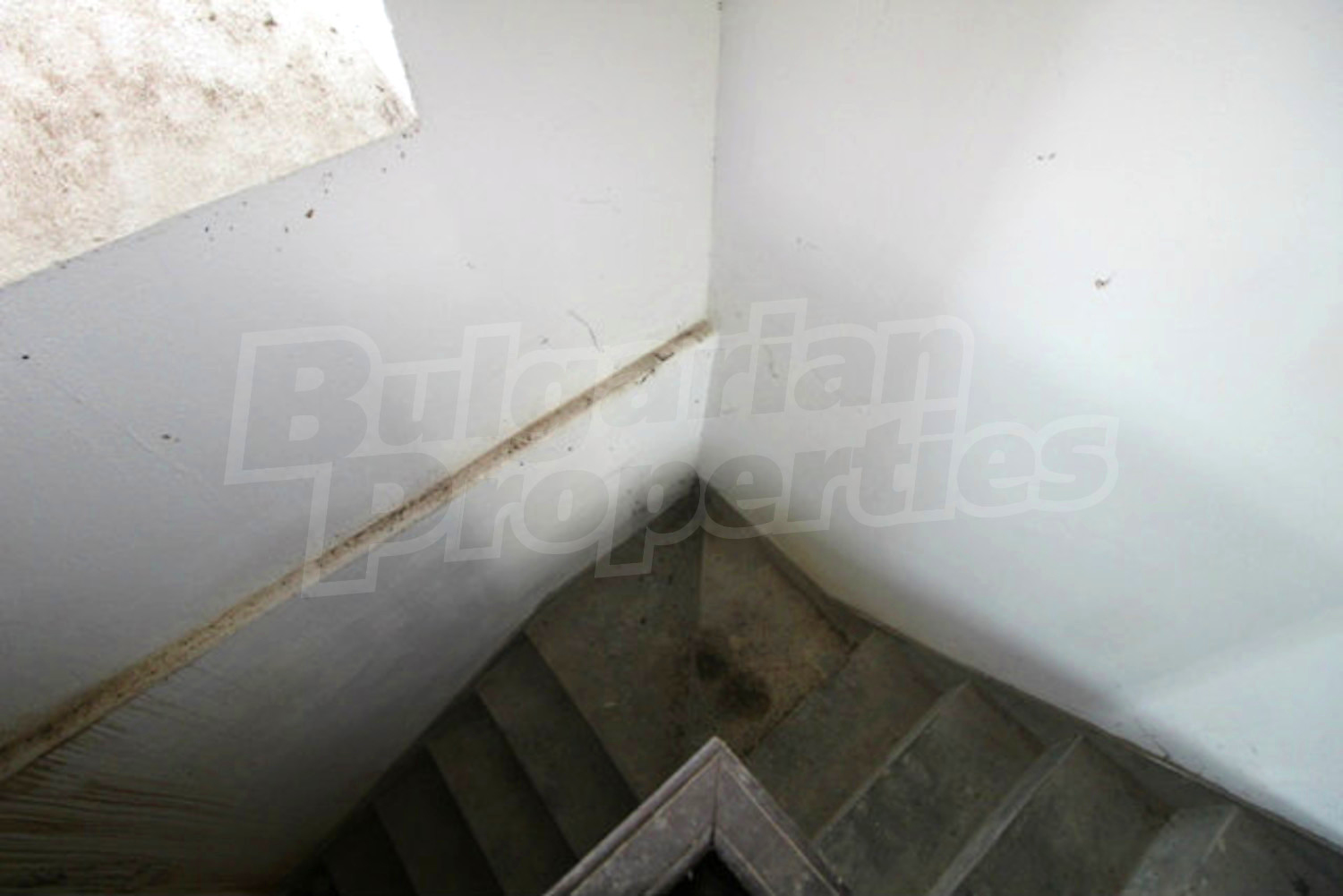 Gallery Picture 12