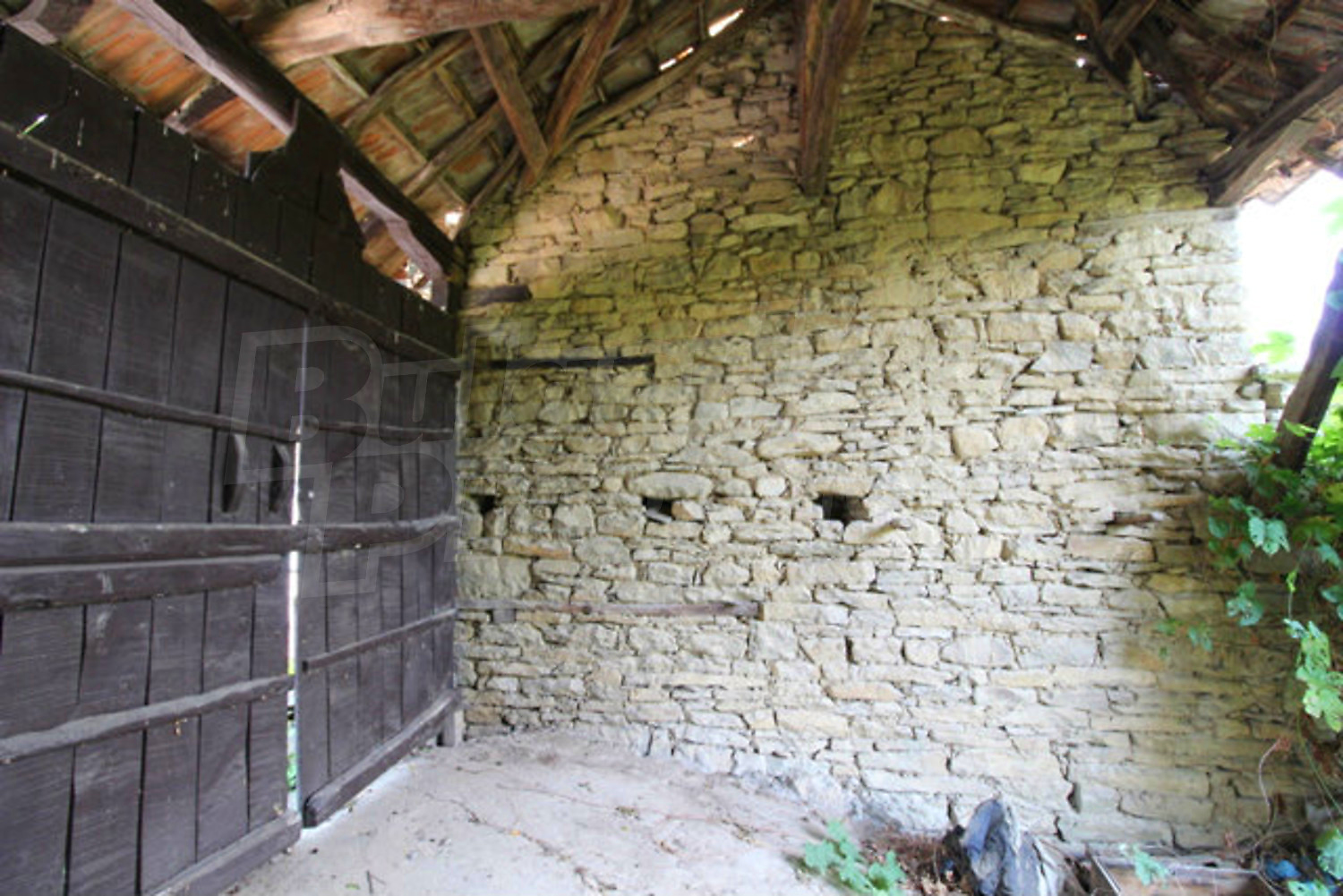 Gallery Picture 15